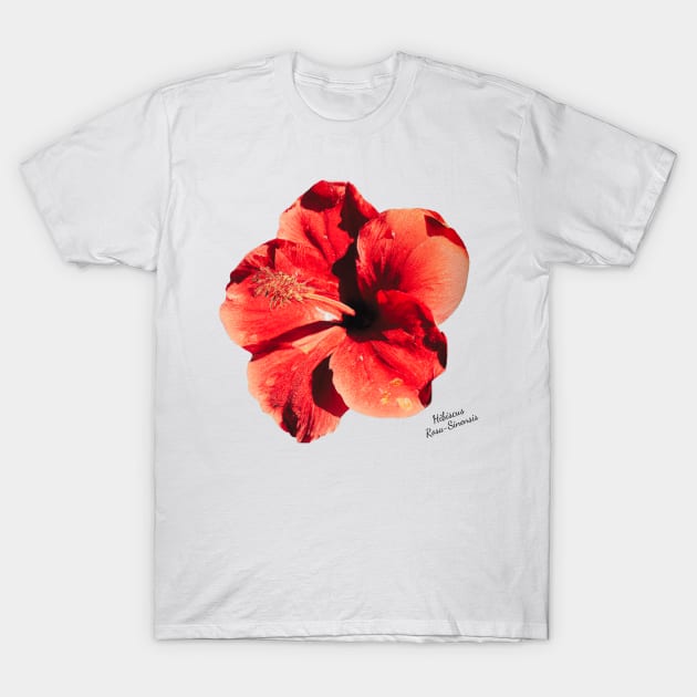 Hibiscus Flower T-Shirt by RAndG